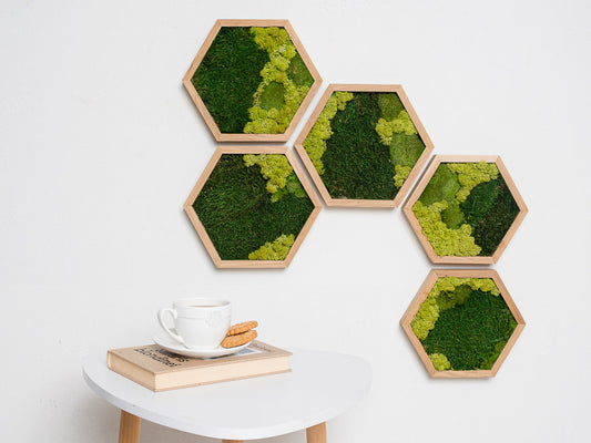 Honeycomb Moss Wall Green Art Preserved Moss Eco-Friendly Decor Housewarming