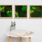 Squares Moss Wall Green Wall Art Preserved Moss Set Of 3 Squares Gift