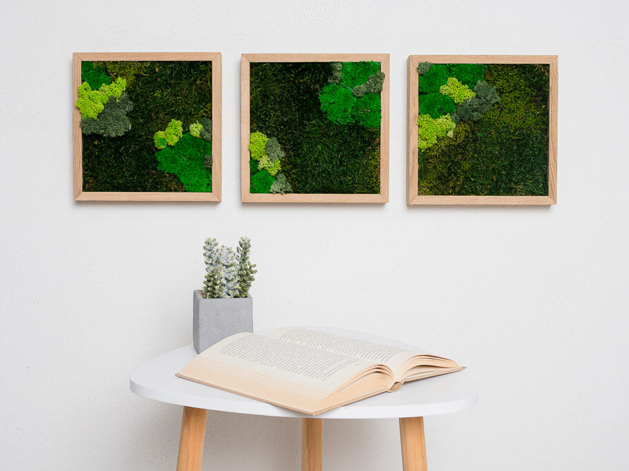 Squares Moss Wall Green Wall Art Preserved Moss Set Of 3 Squares Gift