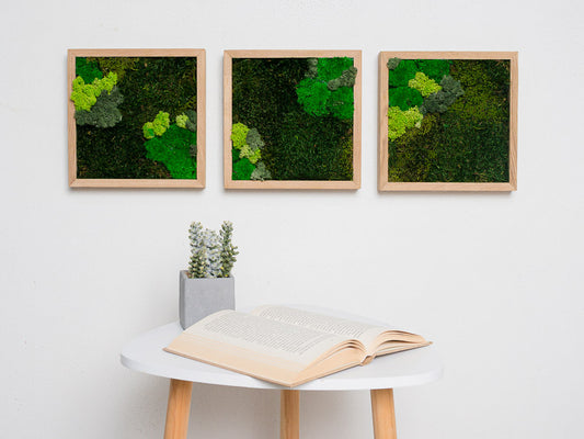 Squares Moss Wall Green Wall Art Preserved Moss Set Of 3 Squares Gift