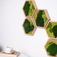 moss-wall-art-decor-green-home-20