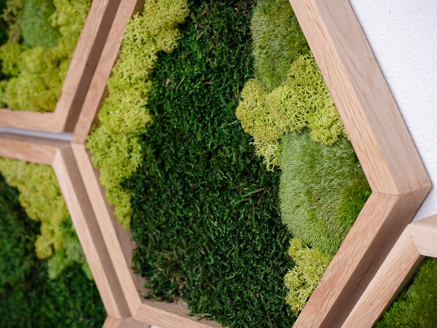 moss-wall-art-decor-green-home-21