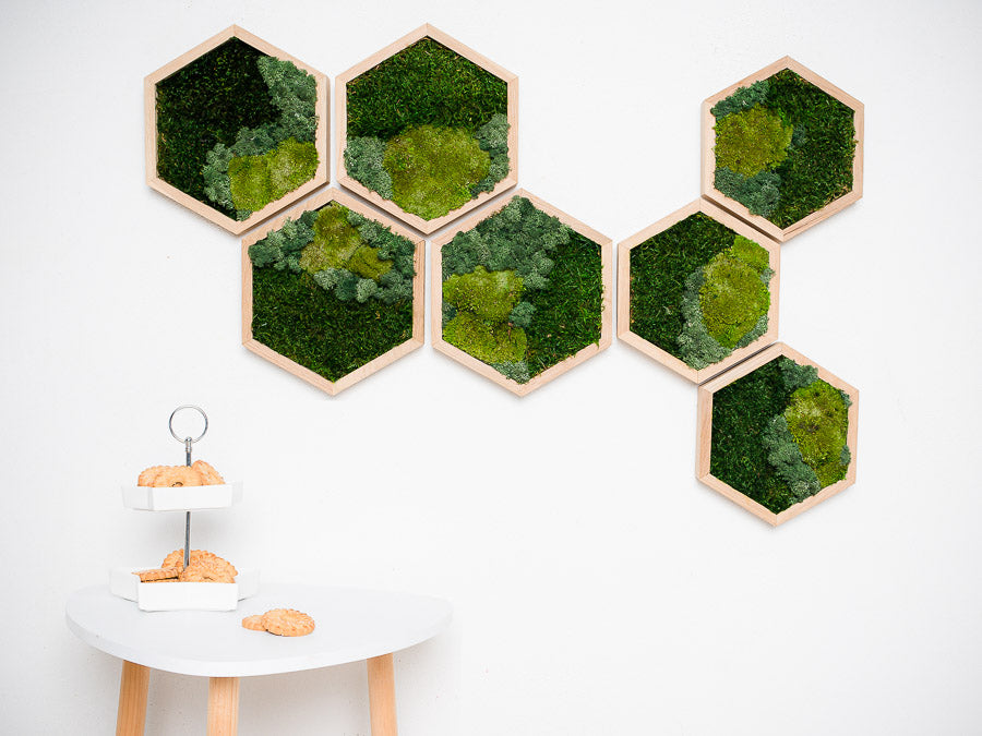moss-wall-art-decor-green-home-28