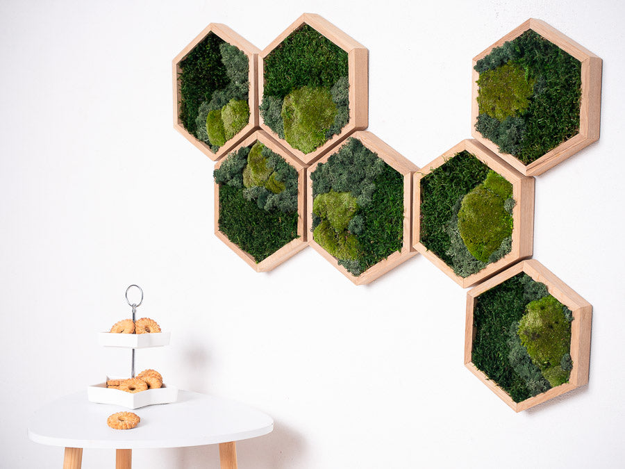 moss-wall-art-decor-green-home-29