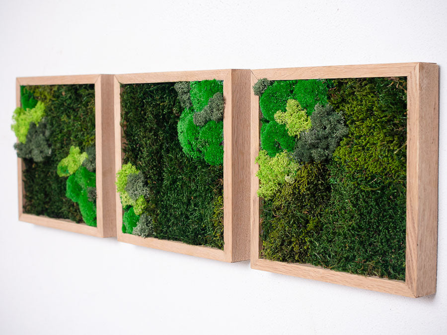 moss-wall-art-decor-green-home-3