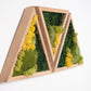 moss-wall-art-decor-green-home-34