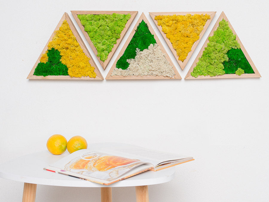 Triangle Moss Wall Art Green Preserved Moss 5 pcs Collage