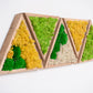 moss-wall-art-decor-green-home-38
