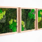 moss-wall-art-decor-green-home-6