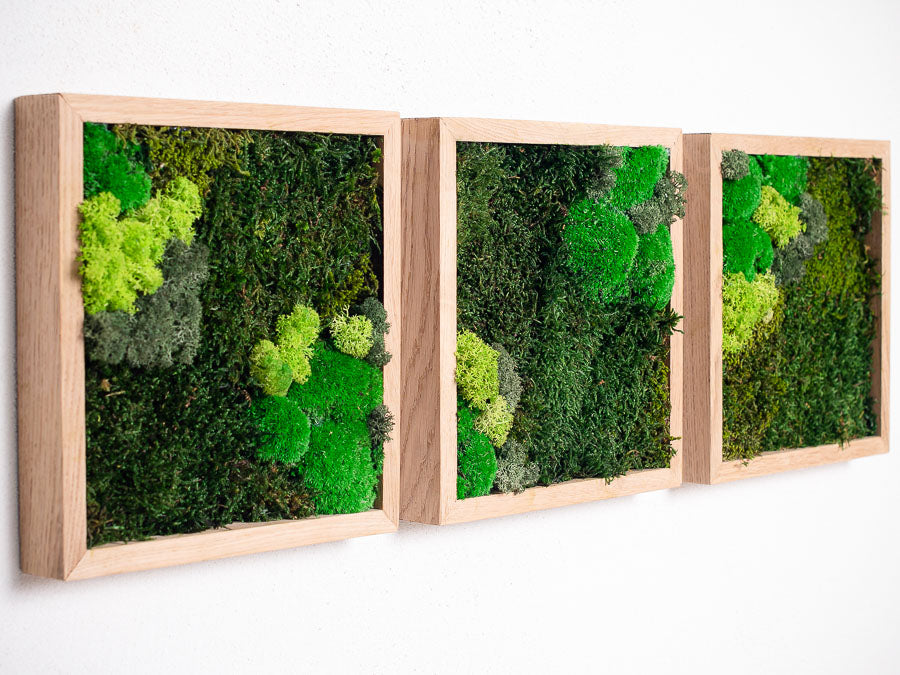 moss-wall-art-decor-green-home-6