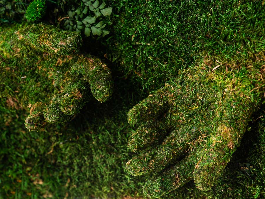 moss-wall-art-decor-live-52