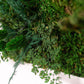 moss-wall-art-decor-live-53