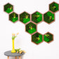 Set of 9 Honeycombs with Preserved Moss Artwork Live Wall Art