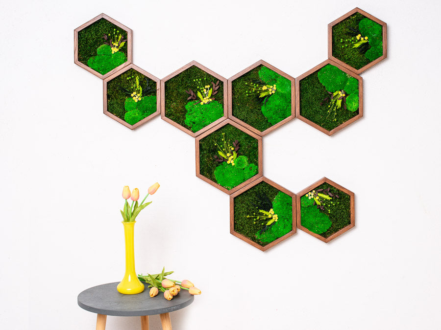 Set of 9 Honeycombs with Preserved Moss Artwork Live Wall Art