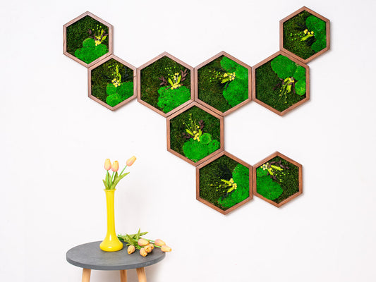 Set of 9 Honeycombs with Preserved Moss Artwork Live Wall Art