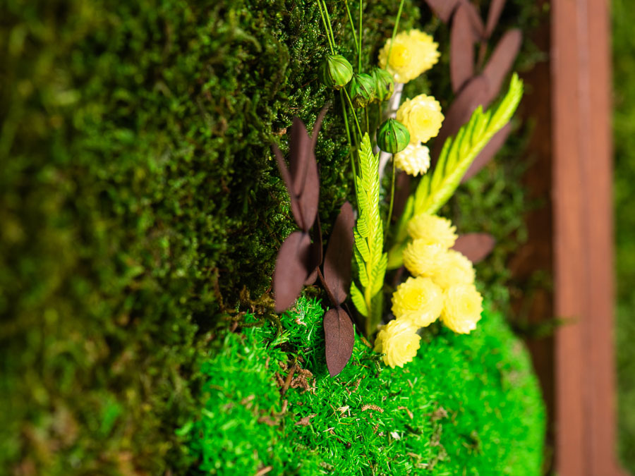 moss-wall-art-decor-live-56