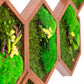 moss-wall-art-decor-live-58
