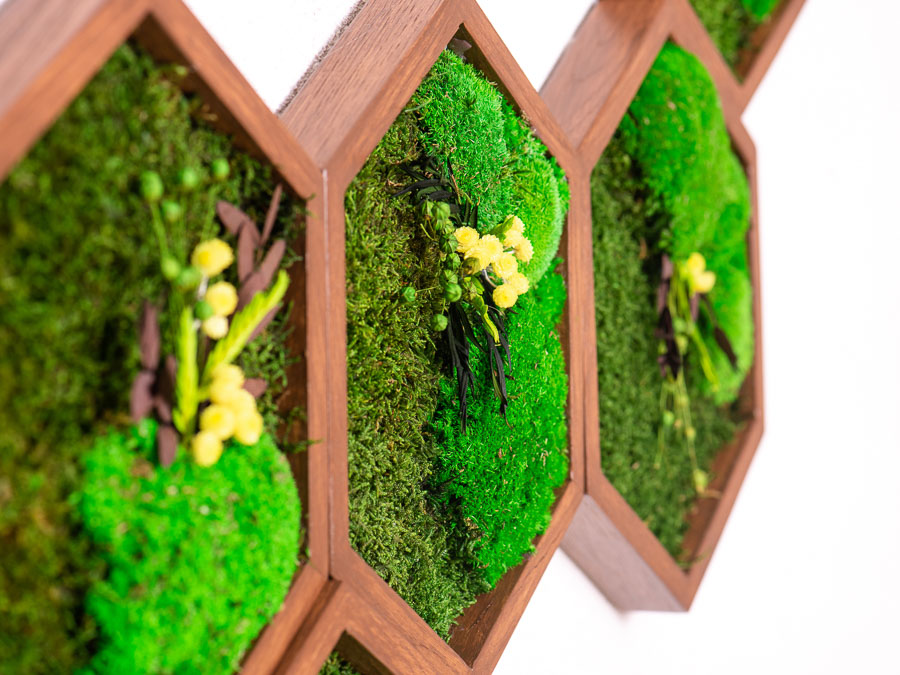 moss-wall-art-decor-live-58