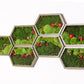 moss-wall-art-decor-live-59