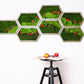 Hexagon Moss Wall Art Green Wall Art Preserved Moss 7 pcs honeycombs